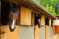 free Blackhorse stable construction quotes
